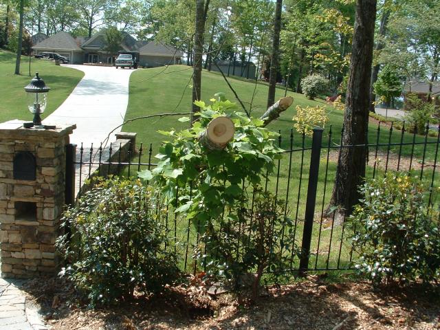 Wrought iron fence after a tree surgeon made a mistake.  Notice the posts are still intact.  An aluminum fence would have been destroyed.